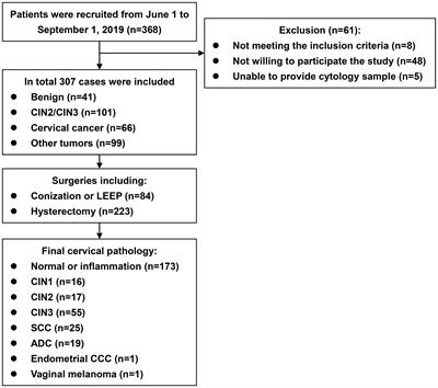 Cytological DNA methylation for cervical cancer screening: a validation set